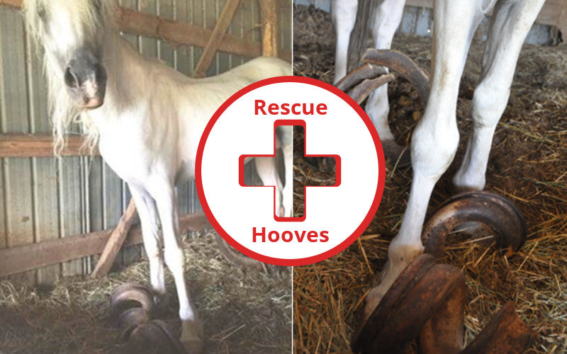 Rescue Hooves