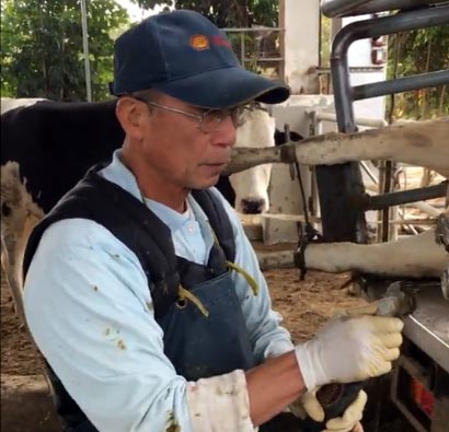 Profile of Dairy Farm in Taiwan