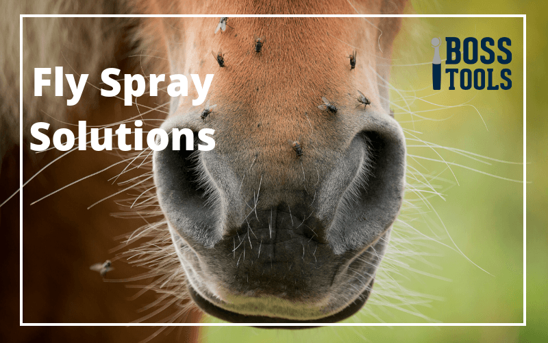 Flyspray Solutions