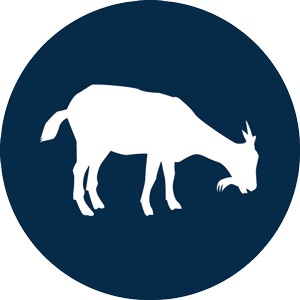 Goat Hoof Trimming Tools